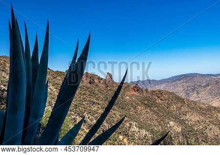 Valley Of Tejeda At Gran Canaria, Spain. Montains Of The Central Part Of The Island, Hiking Along Th