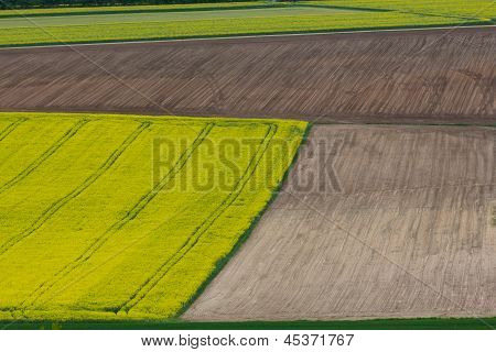 Paisaje de primavera