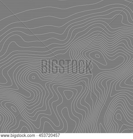 Abstract Paper Cut Shapes. Topographic Map On White Background. Topo Map Elevation Lines. Contour Ve