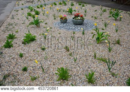 Flower Beds An Street With Cobbled Sidewalks Stone Cobblestone Mosaic. Spring Bulbs Bloom In Front O