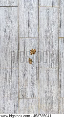 Gray Rectangular Slabs With A Corrugated Structure And A Small Leaf On Them Spring Warm Street Backg