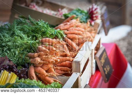 Tasted And Fresh Carots Vegetables On A Market