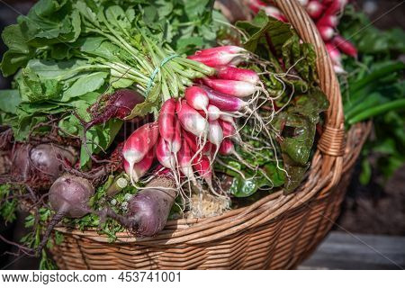 Tasted And Fresh Carots Vegetables On A Market