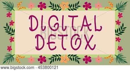 Hand Writing Sign Digital Detox. Internet Concept Free Of Electronic Devices Disconnect To Reconnect