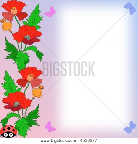Coquelicots
