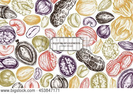 Design With Pastel Colored Cashew, Peanut, Pistachio, Hazelnut, Almond Walnut Stock Illustration