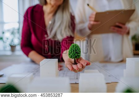 Close-up Of Senior Women Eco Architects With Model Of Modern Bulidings And Blueprints Working Togeth