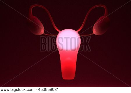 Internal Genital Female Organs. Light From The Uterus And Ovaries. Menstruation, Menopause Concept. 