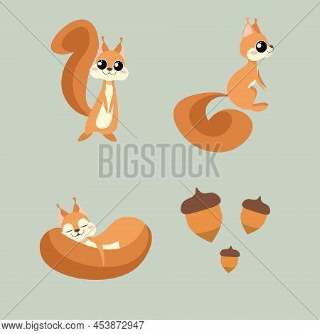 Set Of Cute And Beautiful Character Squirrels On Green Background. Vector Illustration Charming Anim