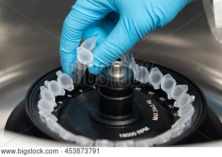 Scientist Puts Microcentrifuge Tubes Into Centrifuge For Phase Separation. Dna And Cell Analysis At 