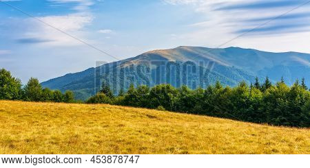 Beautiful Mountain View Of Carpathian Alps. Idyllic Scenery With Green Meadows And Beech Forest On T