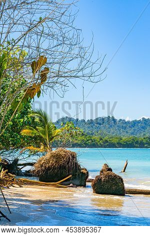 Cahuita National Park, Beautiful Tropical Caribbean Beach, Cahuita, Limon Province, Costa Rica East 