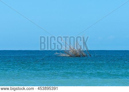 Cahuita National Park, Beautiful Tropical Caribbean Beach, Cahuita, Limon Province, Costa Rica East 