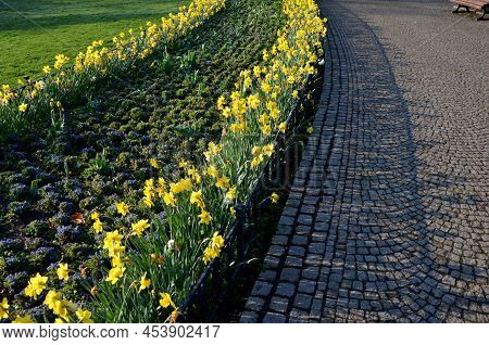 Annual Flowerbed In The Shape Of An Arch With Purple And White Yellow Flowers Bordered By A Low Fenc