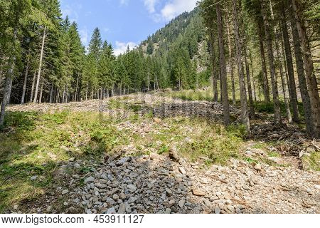 Mudflow At The Goeriachtal In Lungau, Austria