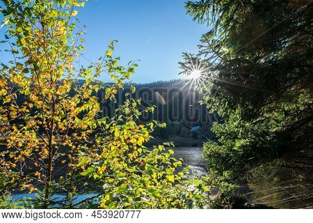 Small Arber Lake In The Autumn, Bavaria, Germany
