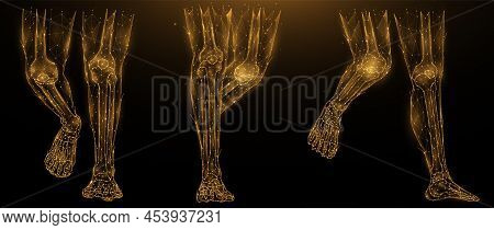 Polygonal Vector Illustration Of Anatomy Of Human Legs. Low Poly Art Lower Limbs On A Dark Backgroun