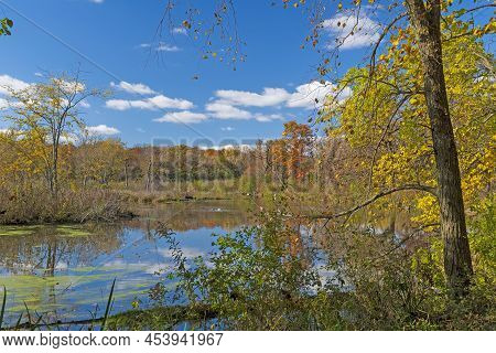 A Calm Pond On A Quiet Fall Morning In The Crabtree Nature Preserve In Illinois