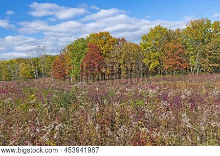 Fall Colors In The Prairie And The Forest In Crabtree Nature Preserve In Illinois
