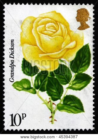 Frimärke Gb 1976 morfar Dickson, målade Rose
