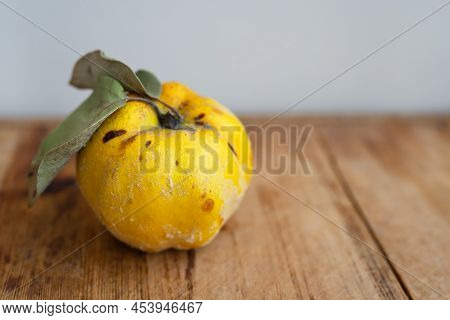 Imperfect Apple Quince On A Wooden Table. Yellow Moldy Quince Apple With Rot Spots
