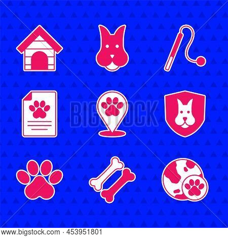 Set Location Veterinary Hospital, Dog Bone, World Pet, Animal Health Insurance, Paw Print, Medical C
