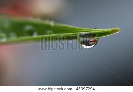 Drop of water