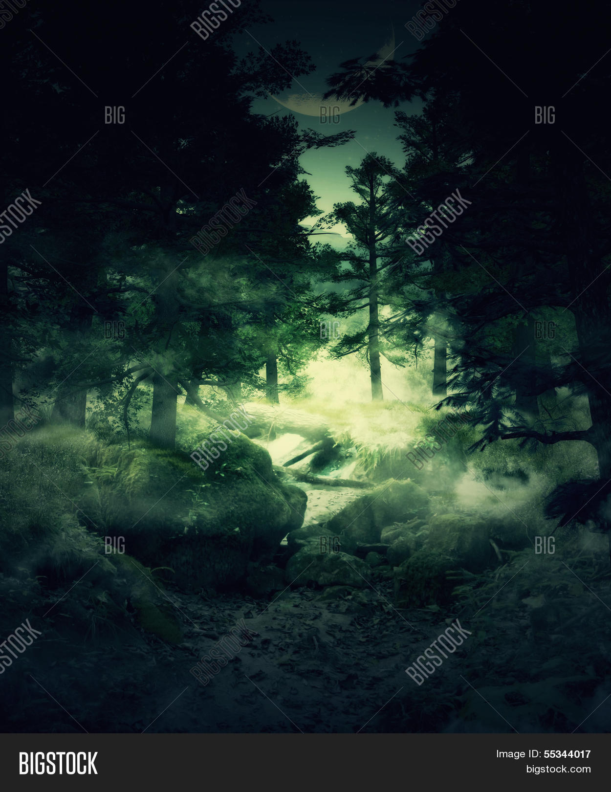 Image Preview