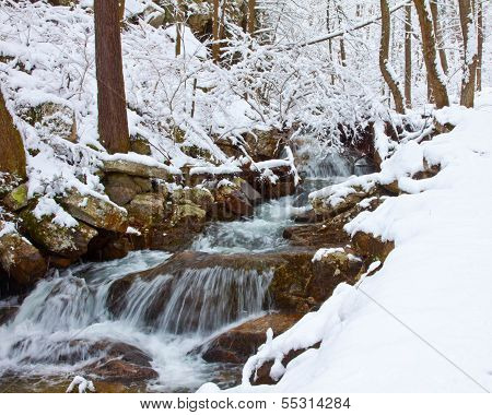 Snowy Stream In Virginia