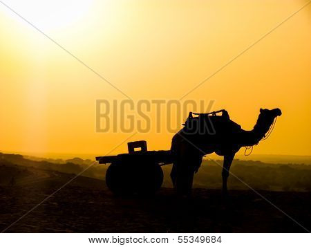 Camel And Cart Silhouette