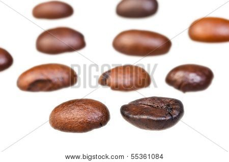 Rows From Roasted Coffee Beans