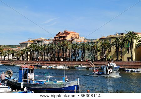 Bosa