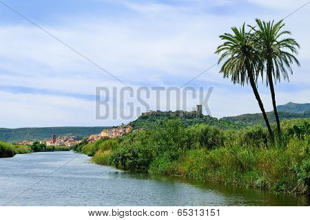 Bosa