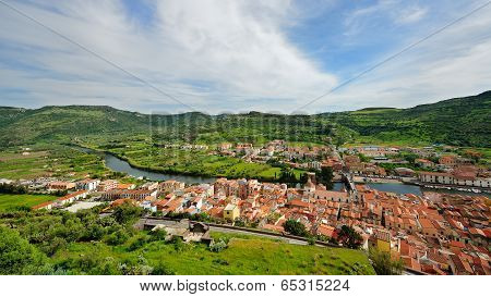 Bosa