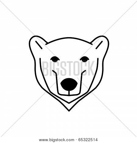 polar bear illustration