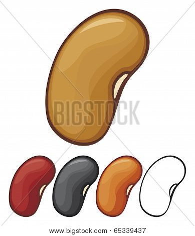 Beans