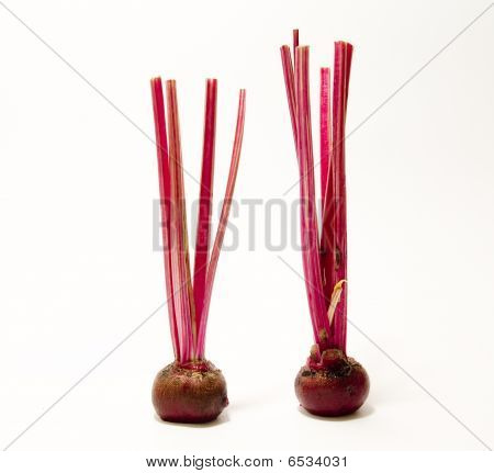Beets