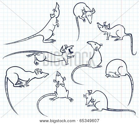 Rats Set