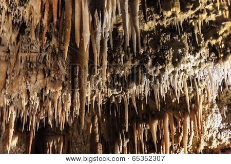 Castellana Caves