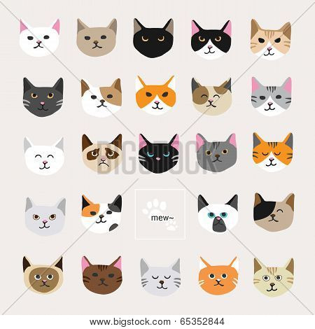 Cat collection