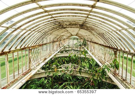 Greenhouse