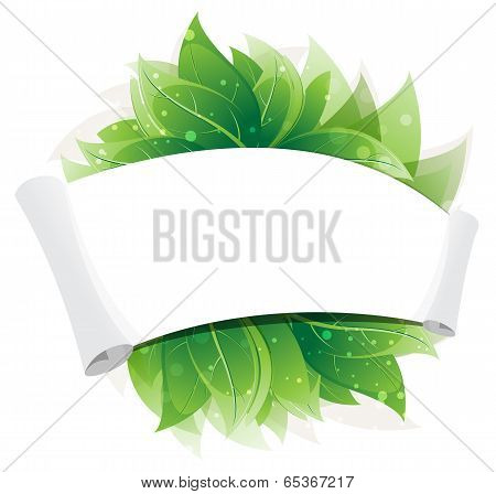 Green Leaves And Paper Scroll