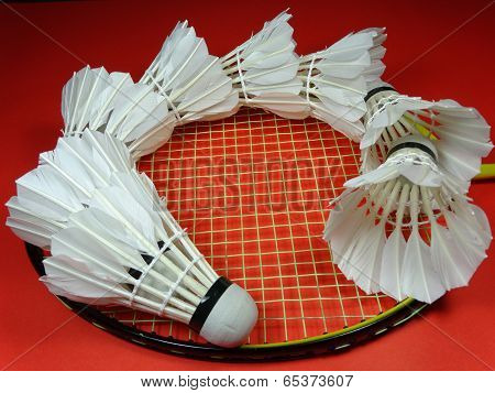 shuttlecocks on a badminton racket