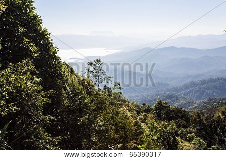 Sea Of Mist With Doi Luang Chiang Dao, View Form Doi Dam In Wianghaeng Chiangmai Thailand