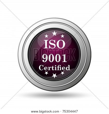 Iso9001 Icon