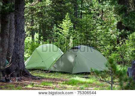 Greent Tourist Tents In Forest At Campsite