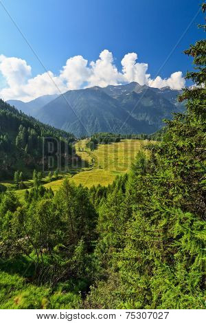 Trentino - Val Di Pejo