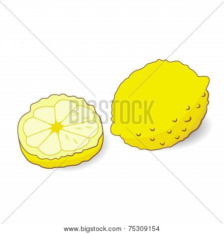 Illustration Of Yellow Lemon Isolated