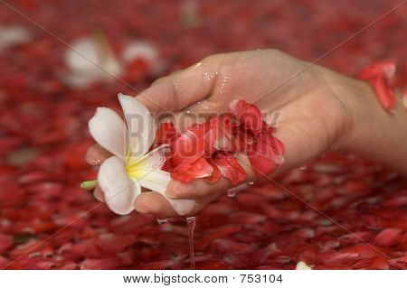 Hand mit Blumen