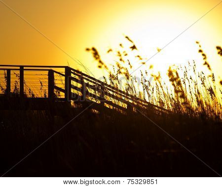 Sea Grass and Broadwalk in the morning light of Southport North Carolina